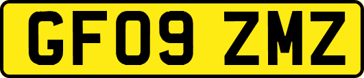 GF09ZMZ