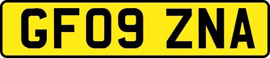 GF09ZNA
