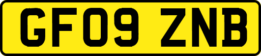 GF09ZNB