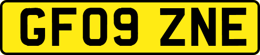 GF09ZNE
