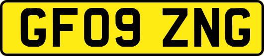 GF09ZNG
