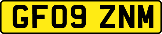 GF09ZNM