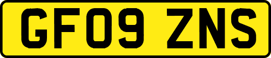 GF09ZNS