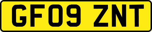 GF09ZNT
