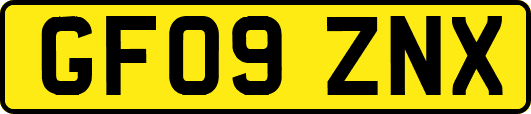 GF09ZNX