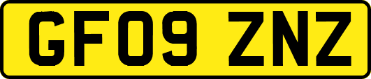 GF09ZNZ