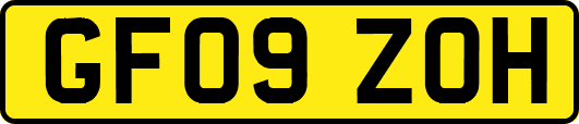 GF09ZOH