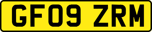 GF09ZRM