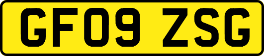 GF09ZSG