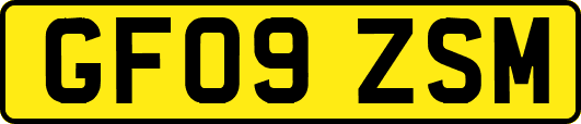 GF09ZSM