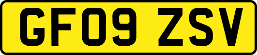 GF09ZSV