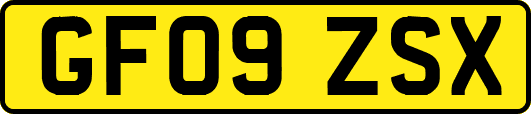 GF09ZSX