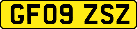 GF09ZSZ