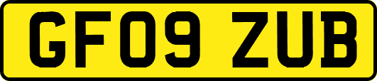 GF09ZUB