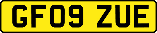 GF09ZUE