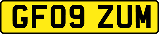 GF09ZUM