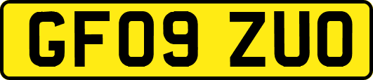GF09ZUO