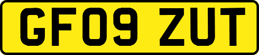 GF09ZUT