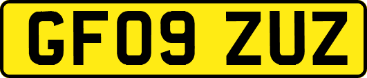 GF09ZUZ