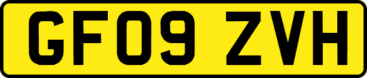 GF09ZVH