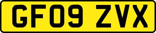 GF09ZVX