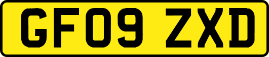 GF09ZXD