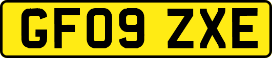GF09ZXE
