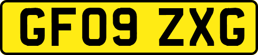 GF09ZXG