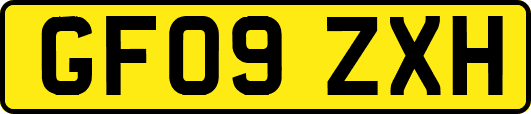 GF09ZXH