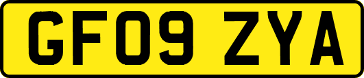 GF09ZYA