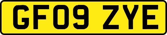 GF09ZYE