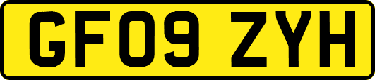 GF09ZYH