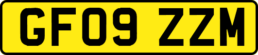 GF09ZZM