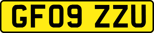 GF09ZZU
