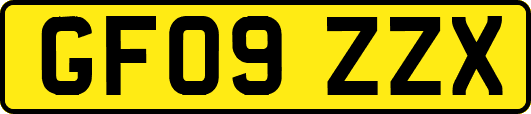 GF09ZZX