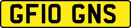 GF10GNS
