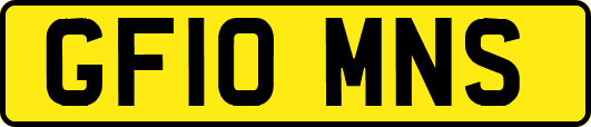 GF10MNS