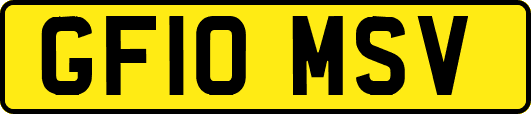 GF10MSV