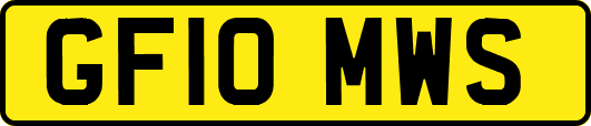 GF10MWS