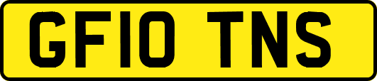 GF10TNS