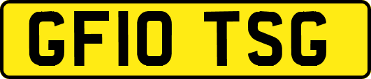 GF10TSG