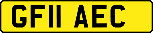 GF11AEC