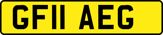 GF11AEG