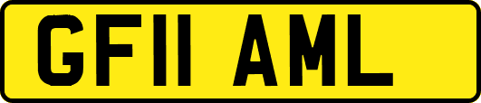GF11AML