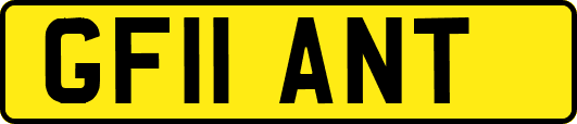 GF11ANT
