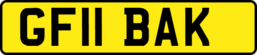 GF11BAK