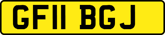 GF11BGJ