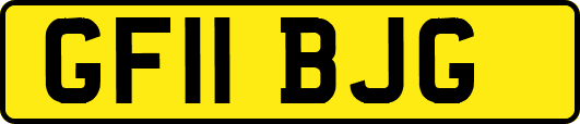 GF11BJG