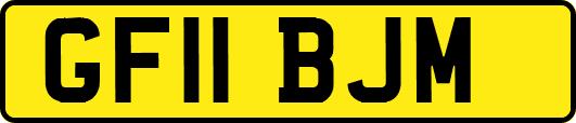 GF11BJM