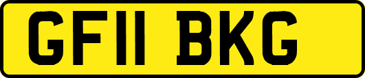 GF11BKG